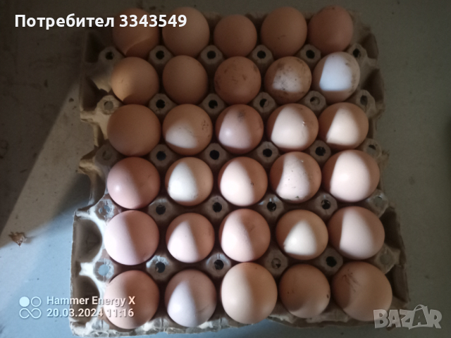 Продавам домашни яйца , снимка 6 - Кокошки и пуйки - 44862119