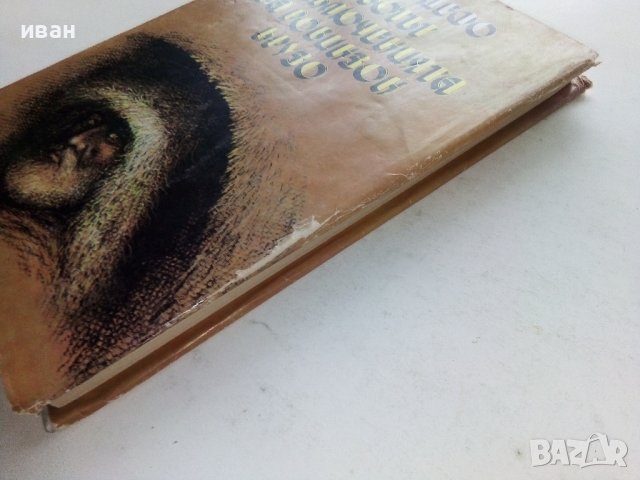 Животът и приключенията на Робинзон Крузо - Даниел Дефо - 1989г., снимка 8 - Художествена литература - 39543574