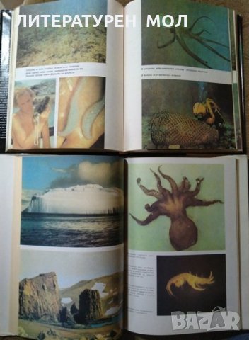 Октоподите. Гъвкавата интелигентност / Животните на Антарктида  1978 г.-1989 г., снимка 5 - Специализирана литература - 27359299