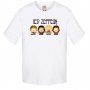 Разпродажба! Детска тениска LED ZEPPELIN 1, снимка 1 - Детски тениски и потници - 32289556