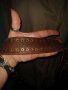 Колан от естествена кожа / genuine leather belt / "Banana republic" ®, снимка 3