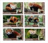 Чисти блокове Фауна Червена Панда 2019 от Тонго, снимка 1 - Филателия - 37682283