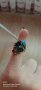 Красив дамски пръстен със разноцветни камъчета, снимка 1 - Пръстени - 35205869