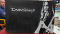 David Gilmour-метална табела(плакет)