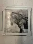 Картина живопис с животни, снимка 2