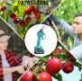 ПРОМОЦИЯ! Акумулаторна Лозарска Ножица, Градинска Ножица 48V с Две Батерии, снимка 12