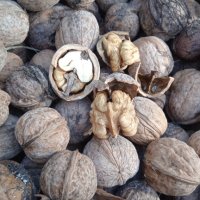 Градински орехи от Витоша , снимка 2 - Домашни продукти - 37000285