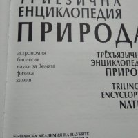 Триезична енциклопедия на .., снимка 2 - Енциклопедии, справочници - 39044103