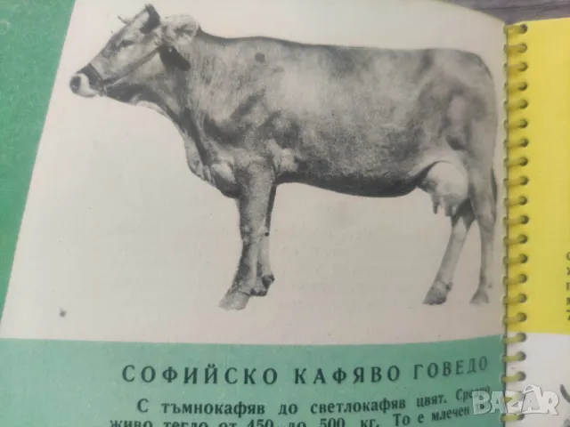 Книга Българското селско и горско стопанство по пътя на социализма 1958, снимка 2 - Други - 48892716