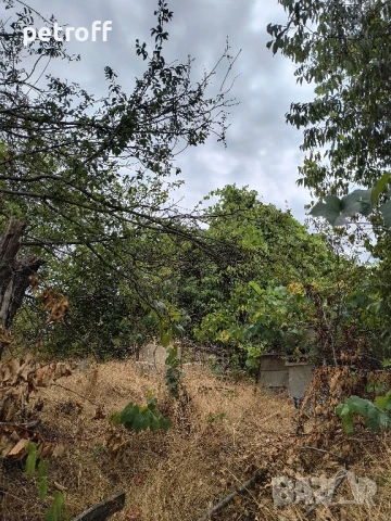 лозе с. Езерово ,м.токат баши, снимка 2 - Парцели - 51252480