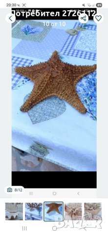 Морски артикули декорация , снимка 8 - Други - 53250087