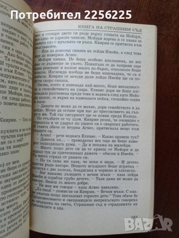 Книга на страшния съд, снимка 2 - Художествена литература - 50933805