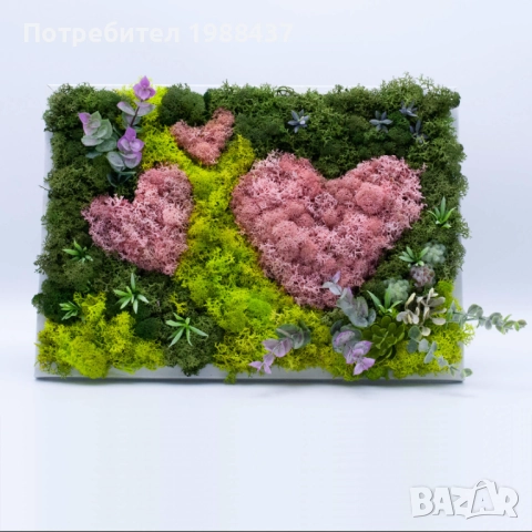 Картини /Подаръчета за повод от скандинавски мъх, снимка 2 - Декорация за дома - 52651329