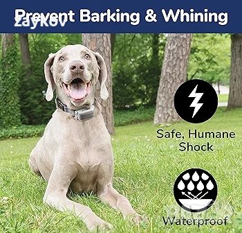 Водоустойчив нашийник за  Контрол на лаенето- 15 нива на шок, снимка 3 - Друга електроника - 43899838