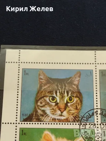 Пощенски марки ЖИВОТНИ КОТКИ перфектно състояние за КОЛЕКЦИОНЕРИ 46692, снимка 2 - Филателия - 47490714