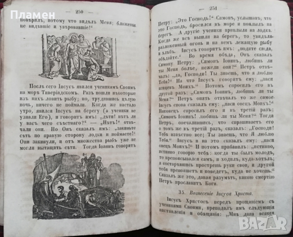 Библейская история /1859/, снимка 8 - Антикварни и старинни предмети - 36430795