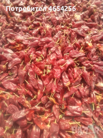 Сладък червен пипер , снимка 3 - Домашни продукти - 52685715