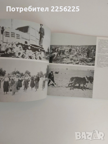 Селското стопанство и хранителната промишленост в Пловдив, снимка 3 - Специализирана литература - 51520287