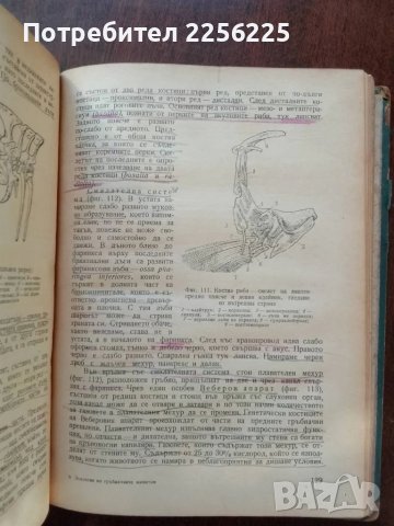 Зоология на гръбначните животни, 1958г, снимка 4 - Специализирана литература - 50440645