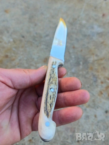 Ножче от еленски рог , снимка 4 - Ножове - 52113439