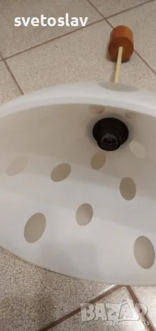 Полюлей , снимка 3 - Полилеи - 48279907