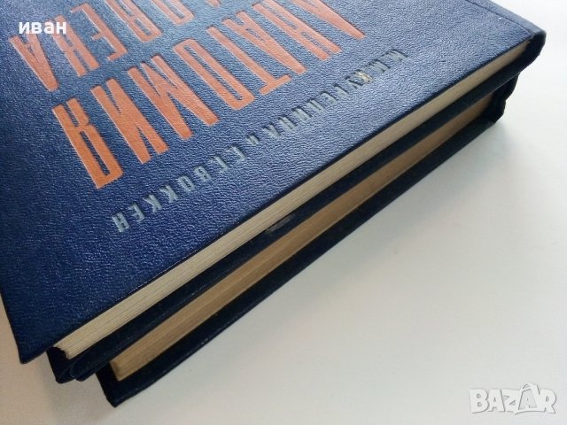 Анатомия Человека - М.Курепикина,Г.Воккен - 1963г. , снимка 17 - Специализирана литература - 39010401