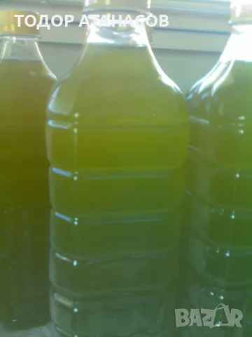 Продавам студено пресован зехтин Екстра върджин 2025 г.