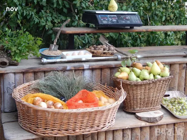 Зеленчукова сергия , маса за продажба на зеленчуци и плодове., снимка 3 - Витрини - 49110465