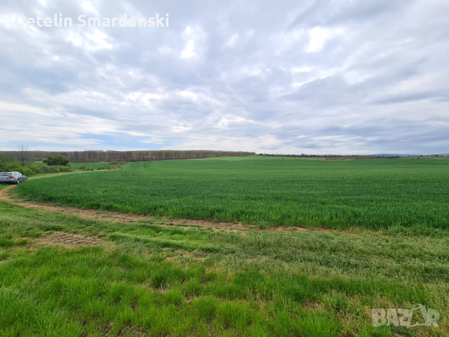 Поземлен земеделски имот , снимка 6 - Земеделска земя - 50649780