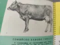 Книга Българското селско и горско стопанство по пътя на социализма 1958, снимка 2