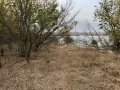 Парцел 1300 кв.м. до варненското езеро, снимка 1