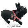PetInterest Dog Harness Dots Pink - Нагръдник за Куче - S, M, L размер, снимка 2