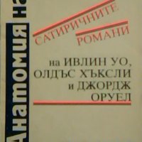 Анатомия на илюзията - Цветана Хубенова, снимка 1 - Специализирана литература - 26290504