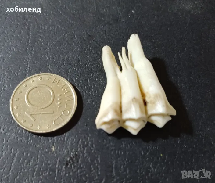 За една по-добра усмивка, снимка 1