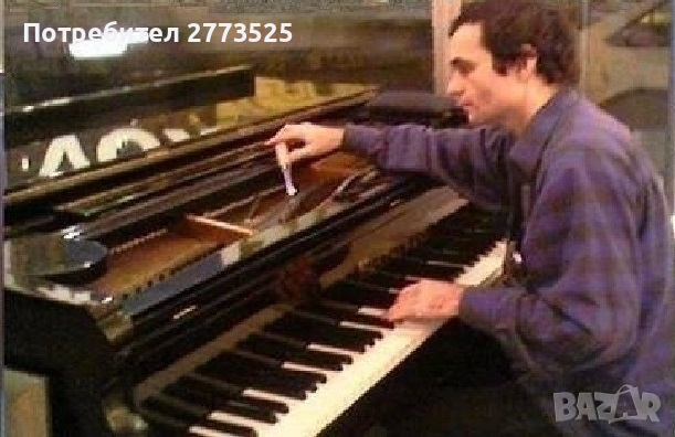Пиана, рояли, арфи, акордеони - акордиране / настройване и ремонт, снимка 1