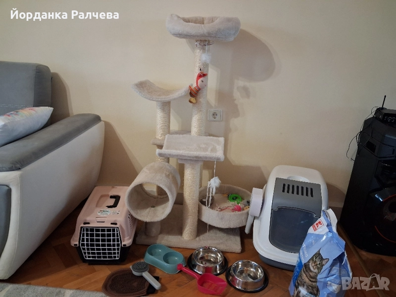 Комплект аксесоари за котка, снимка 1