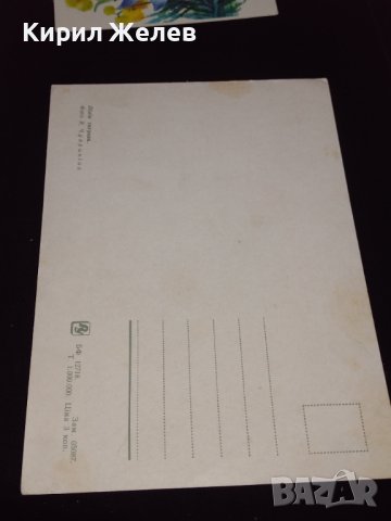 Три стари картички от соца много красиви за КОЛЕКЦИОНЕРИ 41667, снимка 7 - Колекции - 43113257