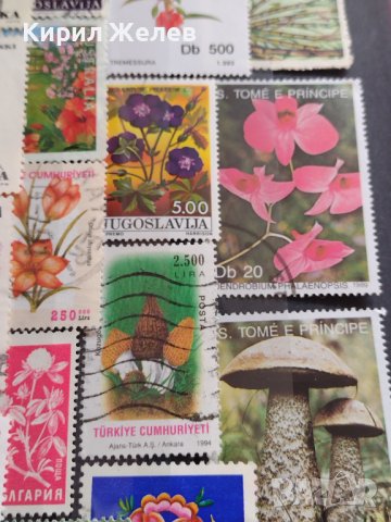 Пощенски марки смесени ЦВЕТЯ от цял свят перфектно състояние за КОЛЕКЦИЯ 22632, снимка 6 - Филателия - 40364561