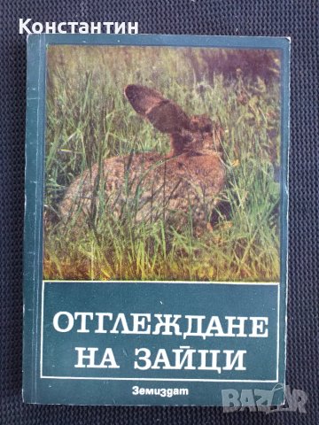 Отглеждане на зайци