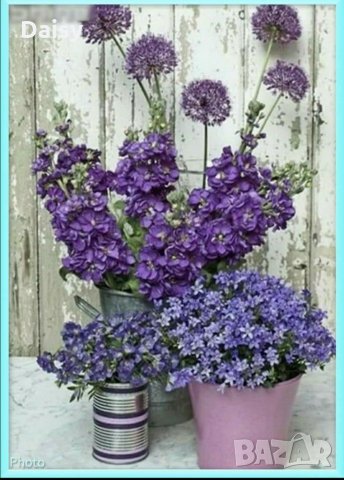 Диамантен гоблен Лавандули