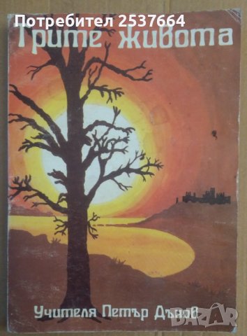 Трите живота  Петър Дънов, снимка 1 - Специализирана литература - 37359164