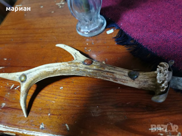 Колекционерски нож с рог от елен, снимка 6 - Колекции - 33568143