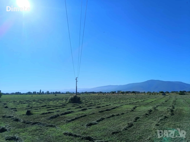 Бали люцерна, снимка 3 - За селскостопански - 51785234