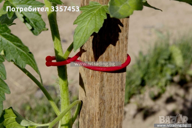 Скоби за домати 