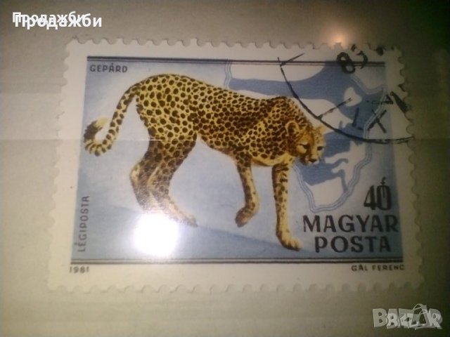Красива колекция 2 бр. Унгарски пощенски марки с животни 1981 г., снимка 2 - Филателия - 43348756