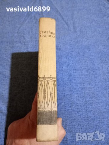 Петру Димитриу - Семейна хроника , снимка 2 - Художествена литература - 43134470
