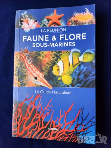 Флора и фауна в морето на Реюнион - на френски, описани 600 вида(вкл.300 вида риби), 800 цветни фото