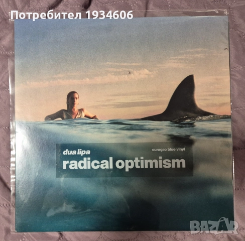 Грамофонни плочи - Madonna, Dua Lipa, Whitney Houston и др., снимка 3 - Грамофонни плочи - 47199914