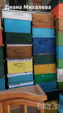 Пчелни кошери, снимка 5 - За пчели - 49767179