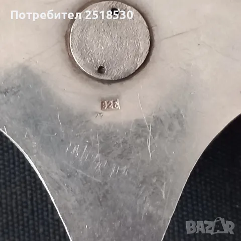 Сребърен орден Regt.Konig 1978/79, снимка 7 - Нумизматика и бонистика - 49175765